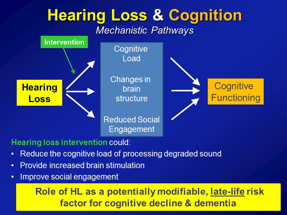 Frontiers  Hearing loss and its link to cognitive impairment and dementia